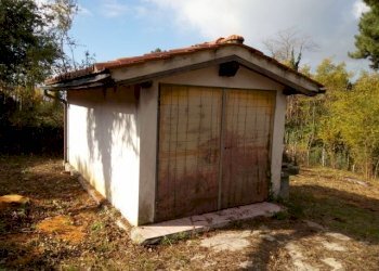 IMG_20151106_114025.jpg - Terreno agricolo via di caroggia, Lucca - foto 24