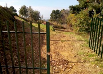 IMG_20151106_114059.jpg - Terreno agricolo via di caroggia, Lucca - foto 25