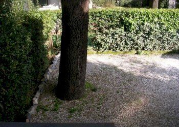 DSCN1837.JPG - Villa Viale Agostino Marti, Lucca - foto 3