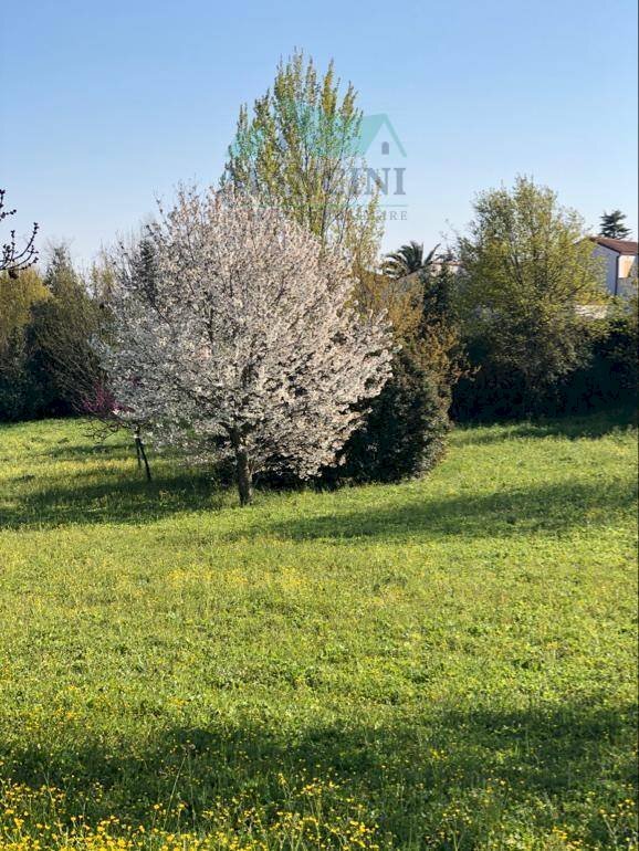 Locale Commerciale VIALE DON MINZONI, Jesi - foto 3