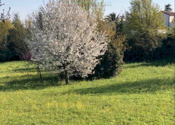 Terreno edificabile MONTE NERONE, Jesi - foto 6