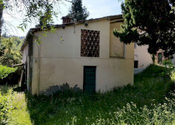 20150528_173658.jpg - Rustico bocconi, Lucca - foto 1