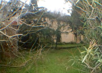 DSCN8653.JPG - Rustico bocconi, Lucca - foto 5