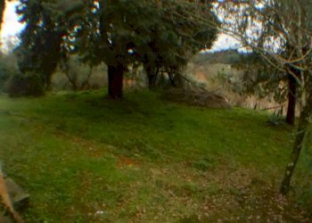 DSCN8654.JPG - Rustico bocconi, Lucca - foto 6