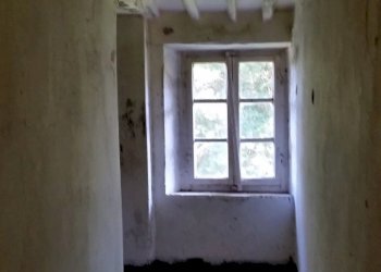 20150528_171402.jpg - Rustico bocconi, Lucca - foto 11