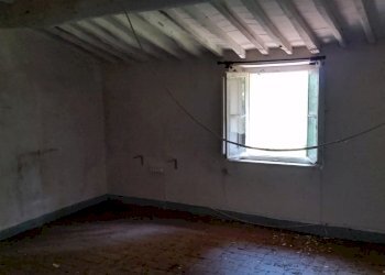 20150528_171410.jpg - Rustico bocconi, Lucca - foto 12