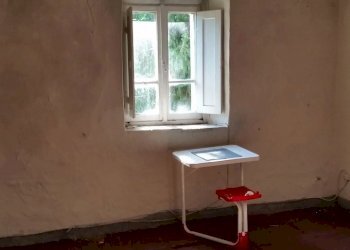 20150528_171418.jpg - Rustico bocconi, Lucca - foto 13