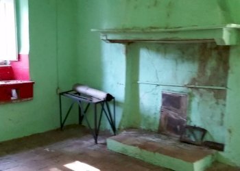 20150528_171454.jpg - Rustico bocconi, Lucca - foto 14