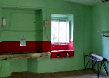 20150528_171459.jpg - Rustico bocconi, Lucca - foto 15