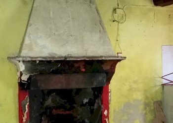 20150528_173122.jpg - Rustico bocconi, Lucca - foto 18