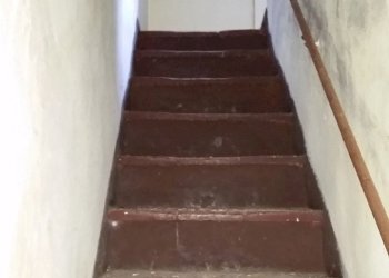 20150528_173130.jpg - Rustico bocconi, Lucca - foto 20