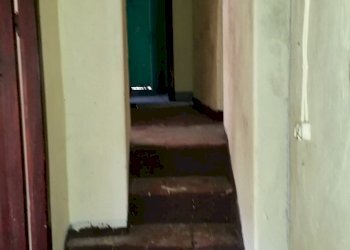 20150528_173310.jpg - Rustico bocconi, Lucca - foto 21