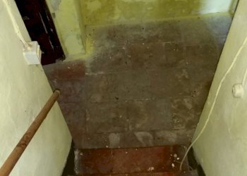 20150528_173330.jpg - Rustico bocconi, Lucca - foto 22