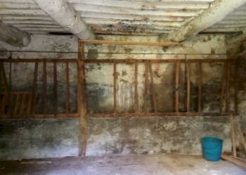 20150528_173459.jpg - Rustico bocconi, Lucca - foto 24