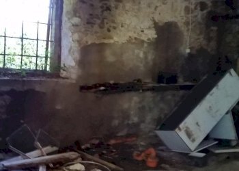 20150528_173503.jpg - Rustico bocconi, Lucca - foto 25