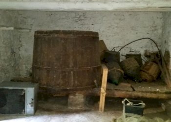 20150528_173553.jpg - Rustico bocconi, Lucca - foto 28