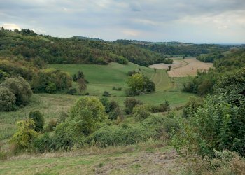 Cascina Marentino - foto 37