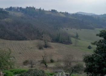 Cascina Marentino - foto 33