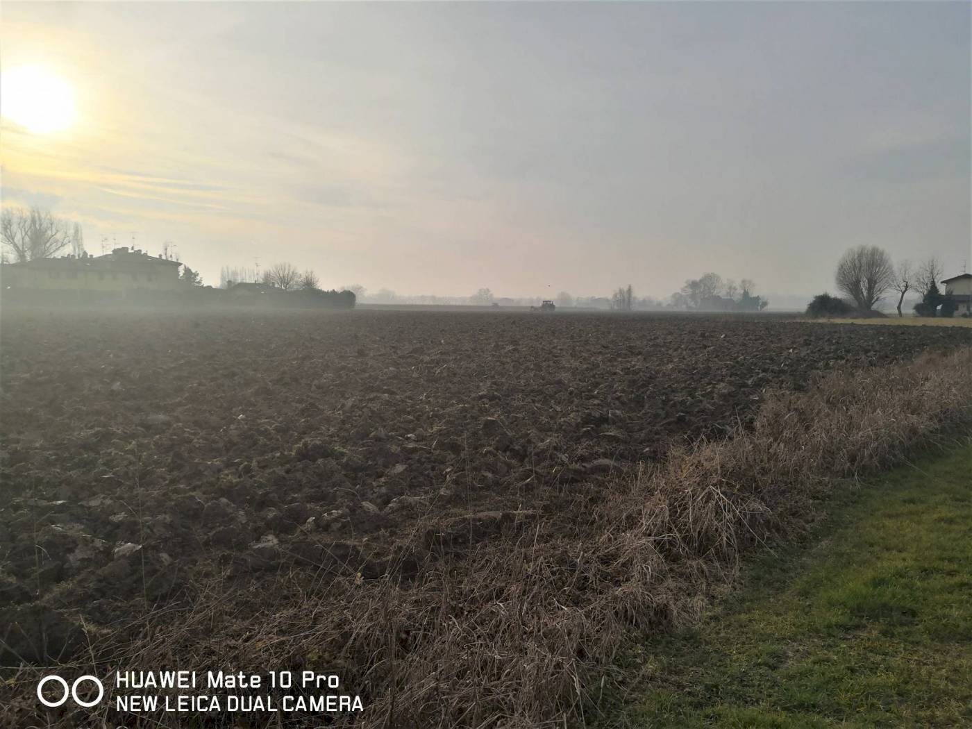 TERRENO - Agricultural land via Riccardina, Budrio - photo 2