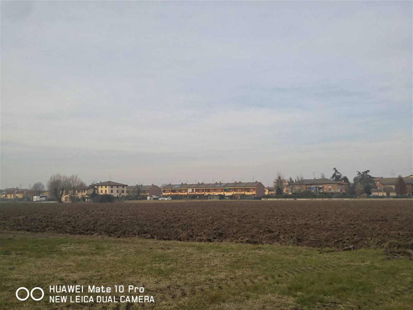 TERRENO - Agricultural land via Riccardina, Budrio - photo 3