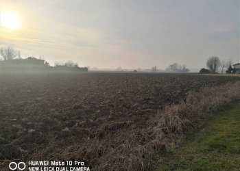 TERRENO - Agricultural land via Riccardina, Budrio - photo 2