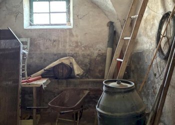 07 DI LEO IMMOBILIARE VENDE CASOLARE DA RISTRUTTUR - Casale Offida - photo 7
