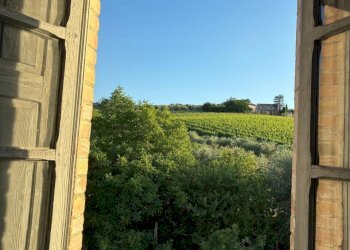 27DI LEO IMMOBILIARE VENDE CASOLARE DA RISTRUTTURA - Casale Offida - photo 27