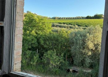 28DI LEO IMMOBILIARE VENDE CASOLARE DA RISTRUTTURA - Casale Offida - photo 28