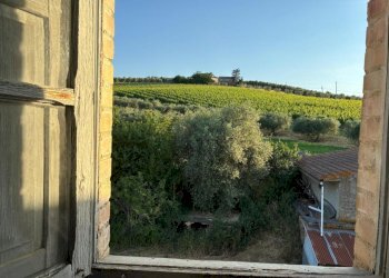 29DI LEO IMMOBILIARE VENDE CASOLARE DA RISTRUTTURA - Casale Offida - photo 29