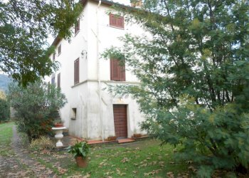 DSCN3946.JPG - Villa Via della Pieve Santo Stefano, Lucca - foto 5