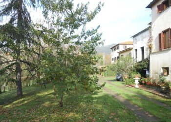 DSCN3876.JPG - Villa Via della Pieve Santo Stefano, Lucca - foto 9