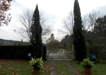 DSCN3954.JPG - Villa Via della Pieve Santo Stefano, Lucca - foto 12