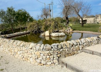 image (6).jpg - Agritourism Noto - photo 6