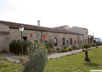 image (14).jpg - Agritourism Noto - photo 13