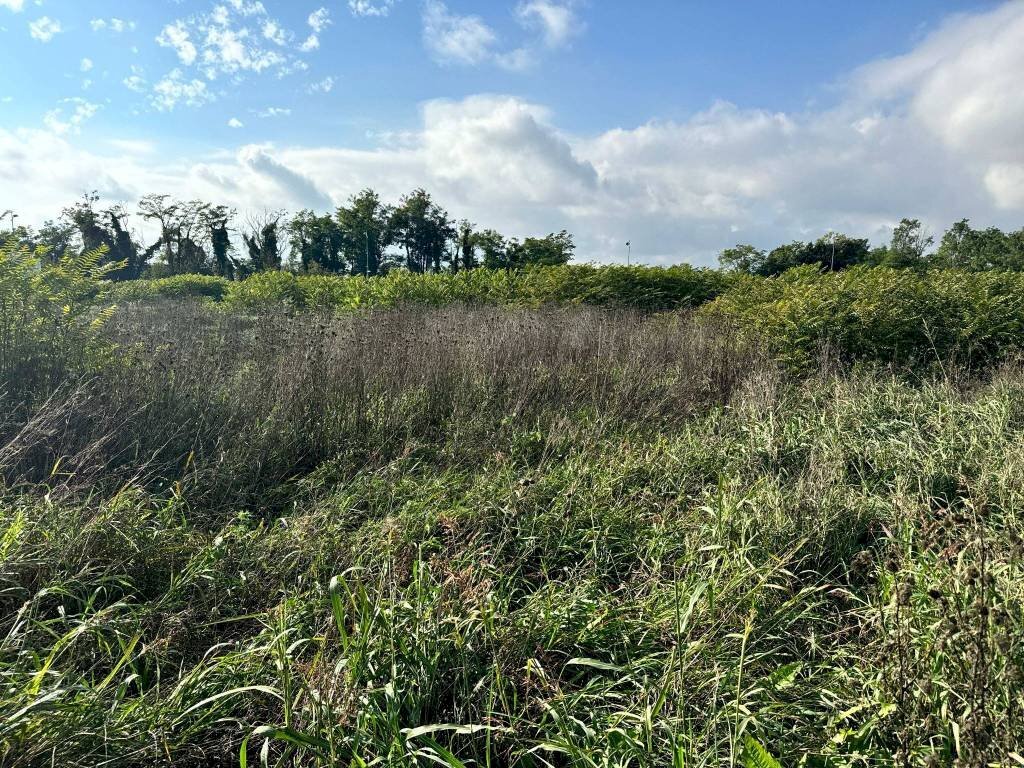 Terreno - Terreno edificabile strada Francesca, Urgnano - foto 1
