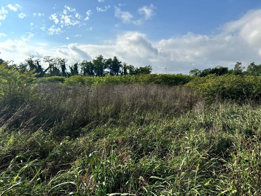 Terreno - Terreno edificabile strada Francesca, Urgnano - foto 2