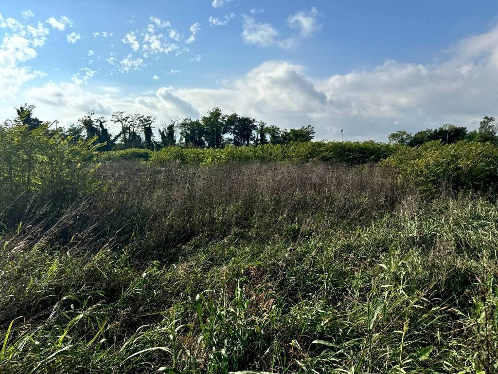 Terreno - Terreno edificabile strada Francesca, Urgnano - foto 3