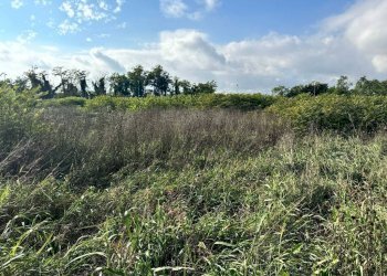 Terreno - Terreno edificabile strada Francesca, Urgnano - foto 1