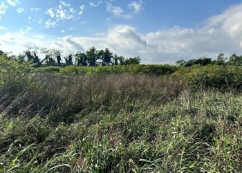 Terreno - Terreno edificabile strada Francesca, Urgnano - foto 2