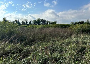 Terreno - Terreno edificabile strada Francesca, Urgnano - foto 3