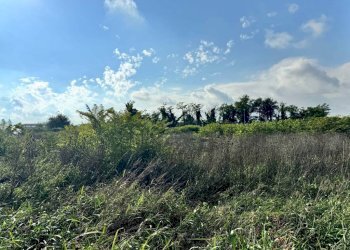 Terreno - Terreno edificabile strada Francesca, Urgnano - foto 6