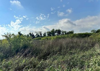 Terreno - Terreno edificabile strada Francesca, Urgnano - foto 7