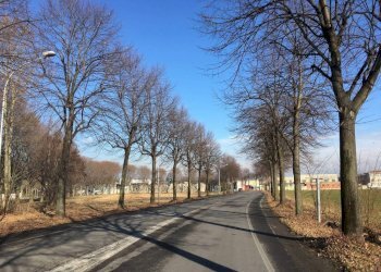 Terreno - Terreno edificabile strada Francesca, Urgnano - foto 10