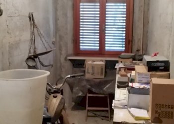 20160503_182947.jpg - Villa Via della Chiesa Diciottesima, Lucca - foto 10