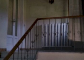 20160503_183126.jpg - Villa Via della Chiesa Diciottesima, Lucca - foto 16