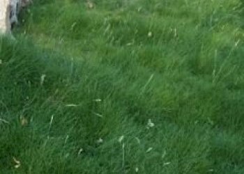 86a158dbad5536e9ebc57a05a6f82376.jpg - Terreno edificabile via bientina, Altopascio - foto 2