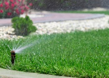 irrigazione-prato.jpg - Terreno edificabile via bientina, Altopascio - foto 10