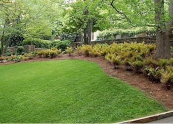 come-seminare-il-prato.JPG - Terreno edificabile via bientina, Altopascio - foto 13