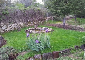 come-seminare-il-prato_NG2.jpg - Terreno edificabile via bientina, Altopascio - foto 14