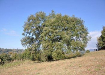 dintorni - Rustico Villa Brunna, Tarano - foto 15